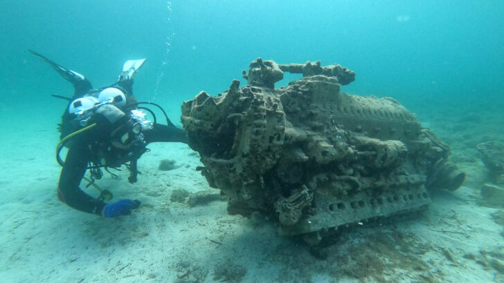 В Хорватии со дна моря подняли двигатель истребителя Второй мировой войны