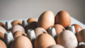 Куриные яйца. Фото Jakub Kapusnak / Unsplash