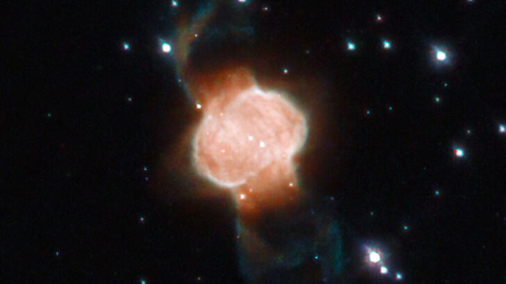 Туманность M1-63. Фото ESA/Hubble & NASA, L. Stanghellini