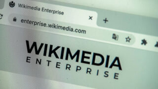 Wikimedia Enterprise. Фото Константин Завьялов / gdeichto.ru
