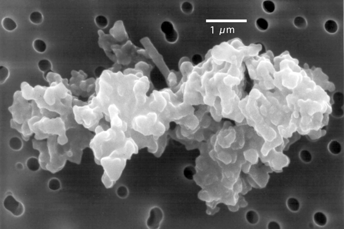 Космическая пыль под микроскопом. Изображение Donald E. Brownlee (CC BY 2.5)