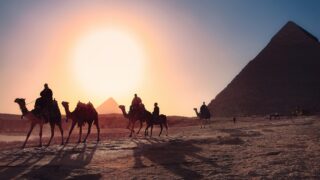 Верблюды на фоне пирамид Гизы. Фото Simon Berger / Unsplash