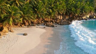 Пляж на одном из Сейшельские островов. Фото Chris / Unsplash